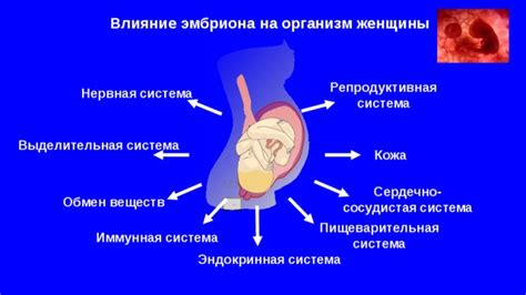 Влияние повышенной ОЖСС на организм женщины