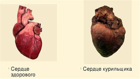 Влияние покоренного сердца на человека