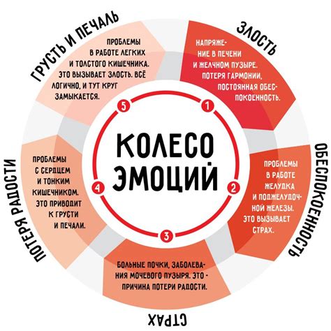 Влияние положительных эмоций на человеческое здоровье