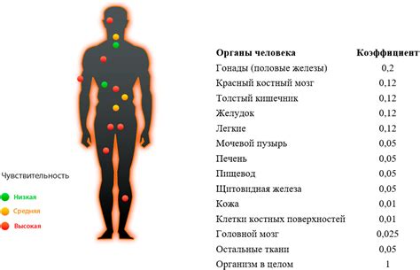 Влияние понижения градуса на органы