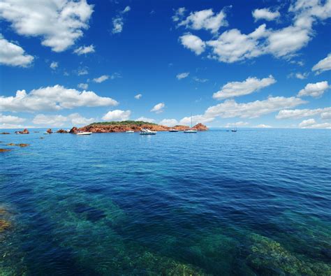 Влияние прозрачности морской воды на сновидения