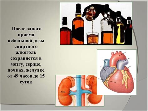 Влияние процента алкоголя на организм