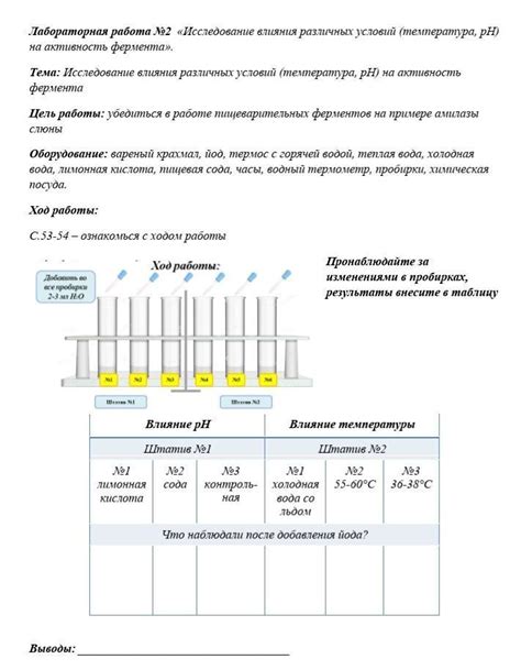 Влияние процесса консервации на прозрачность огурцов: научное объяснение