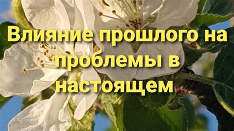 Влияние прошлого на наши решения в настоящем