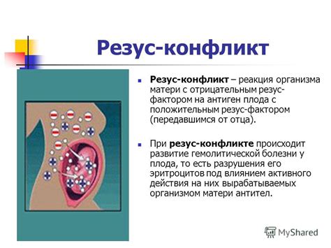 Влияние психологических аспектов резус-резус-фактора на поведение человека