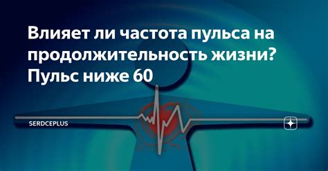 Влияние пульса ниже 60 на организм