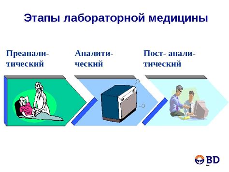 Влияние различных факторов на интерпретацию сновидений о путешествии с возлюбленным