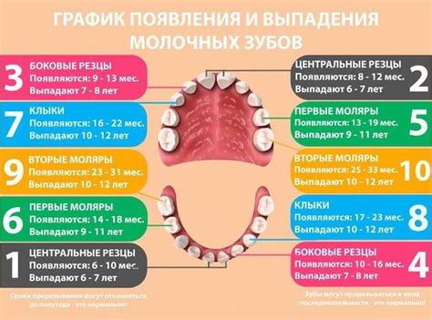 Влияние различных факторов на сновидение детей, в котором они видят выпавшие молочные зубы