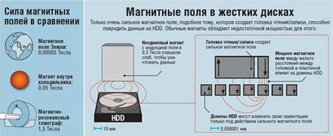 Влияние размера магнита на динамики