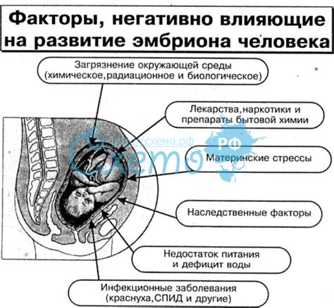 Влияние редкого генотипа на здоровье