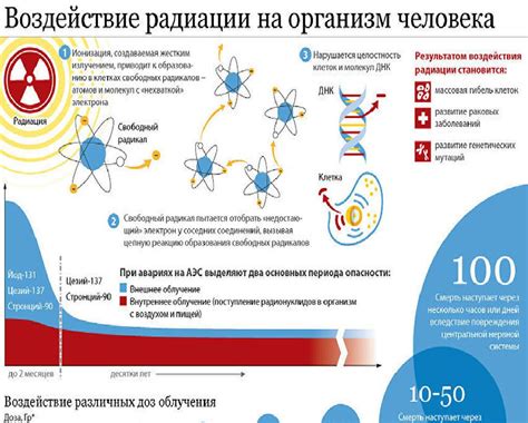 Влияние редуцированности устрицы на организм человека