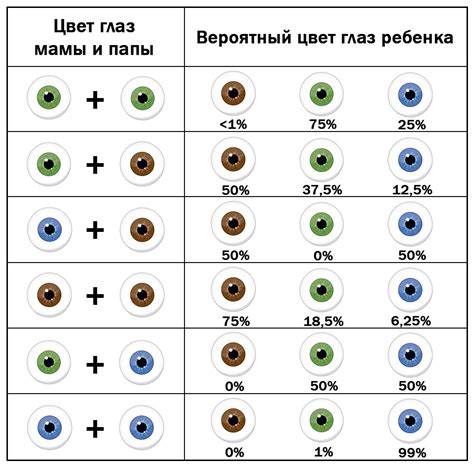 Влияние родителей на цвет глаз