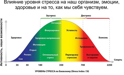 Влияние самогладения на уровень стресса