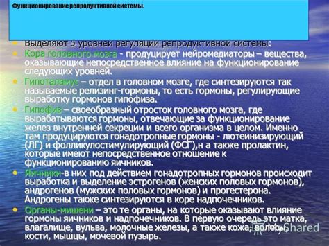 Влияние сновидений осетрицы на функционирование репродуктивной системы