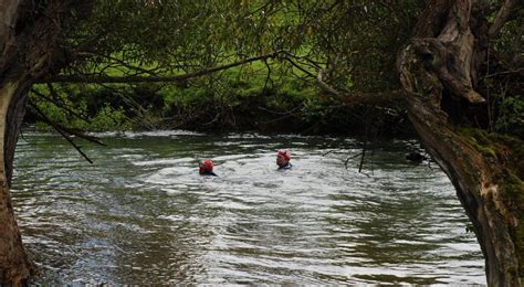 Влияние событий в жизни на сон о купании в грязной воде реки