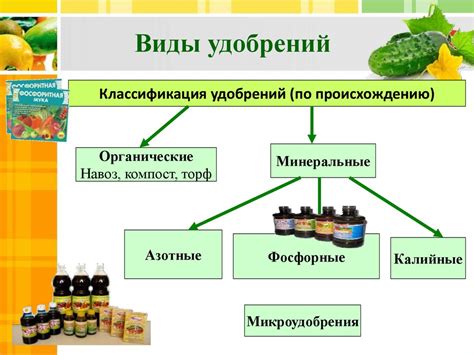 Влияние соматомедина на рост и развитие