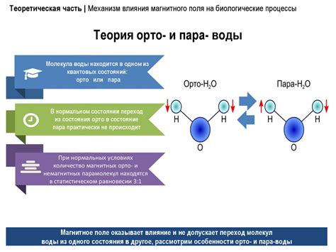 Влияние состава молекулы на биологические процессы