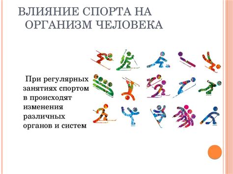 Влияние спорта на организм