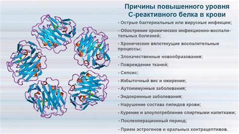 Влияние старения на уровень СРБ