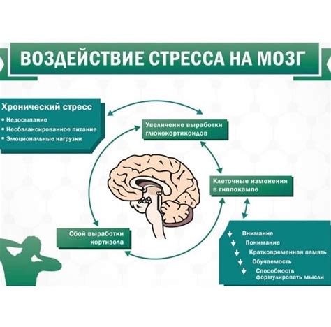 Влияние стресса на нервную систему и возможные последствия