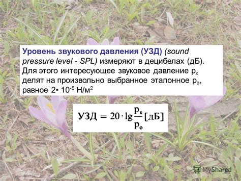 Влияние суммарной мощности на звуковое давление