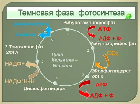 Влияние темновой проводимости на технологические процессы