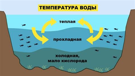 Влияние температуры воды на процесс обработки сои