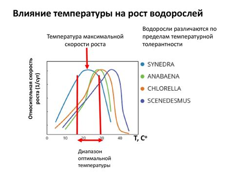 Влияние температуры на стык рулета