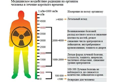 Влияние тяжести на организм