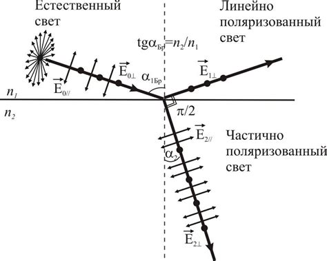 Влияние угла брюстера на поверхности разных материалов