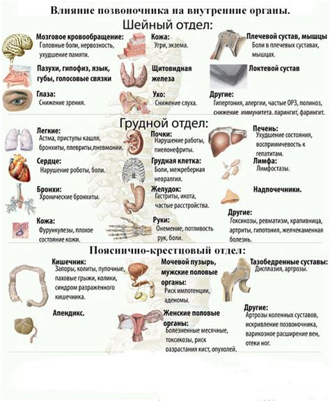 Влияние удара на внутренние органы