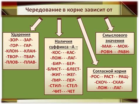 Влияние ударения на произношение и правописание