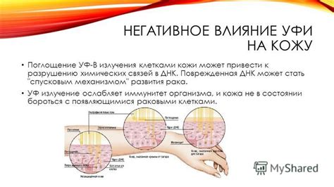 Влияние ультрафиолетового излучения на кожу