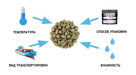 Влияние условий хранения и транспортировки