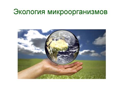 Влияние факторов окружающей среды на появление темного ободка вокруг радужки