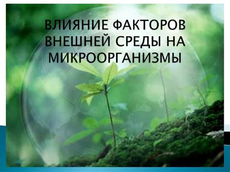 Влияние факторов среды