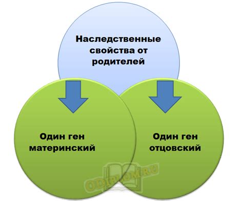 Влияние физического развития на общее состояние организма