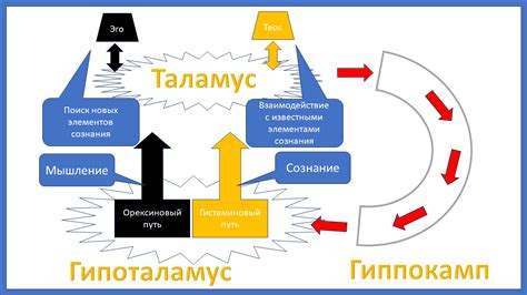 Влияние физического существования на качество мышления и сознания