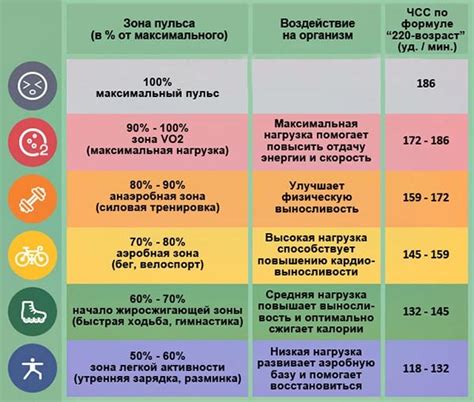 Влияние физической активности на пульс