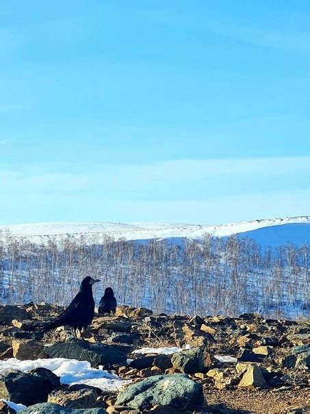 Влияние хрестоматийного пейзажа на восприятие мира