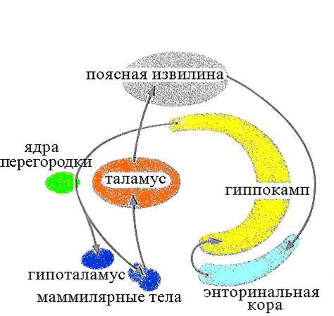 Влияние цели на результат ответа