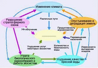 Влияние экологии на почернение ушей