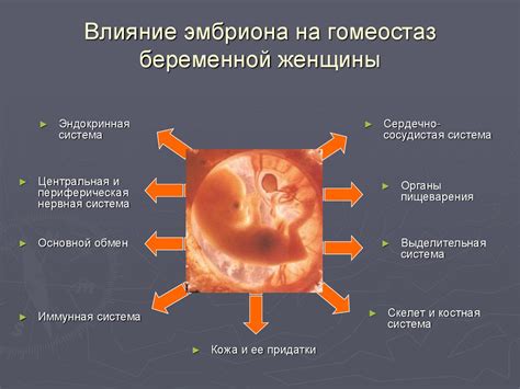 Влияние эмбриона на прогноз беременности