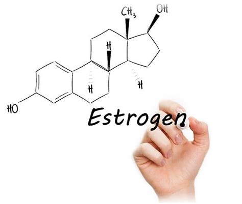Влияние эстрогенов на развитие женского организма