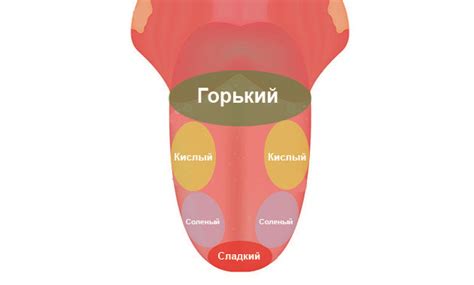 Влияние языка без костей на общение