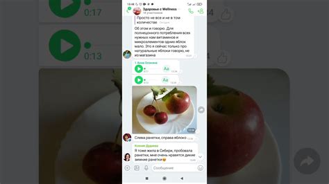 Влияние ICQ на общение: новые возможности