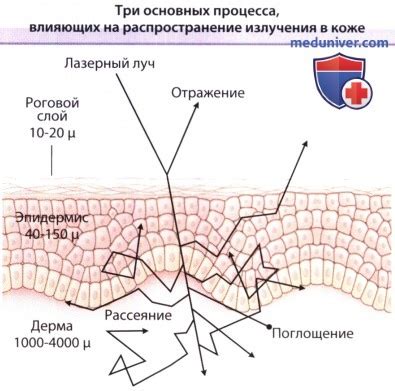 Внешние воздействия на кожу локтей