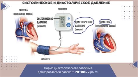 Внешние факторы, влияющие на диастолическое давление