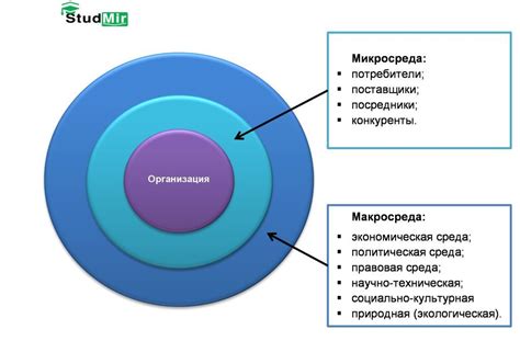 Внешняя среда организации: важность понимания