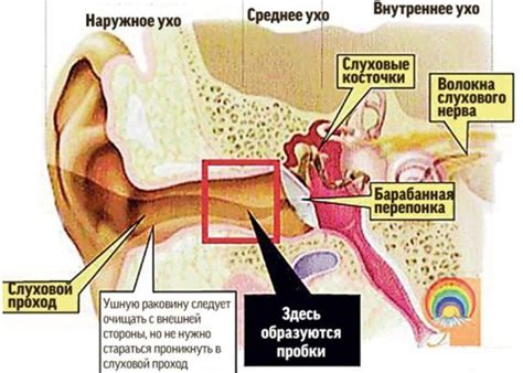 Внутренние причины зуда в ухе